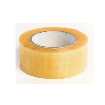 Daisy on the Ohoopee