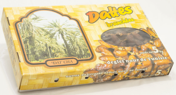 Daisy on the Ohoopee